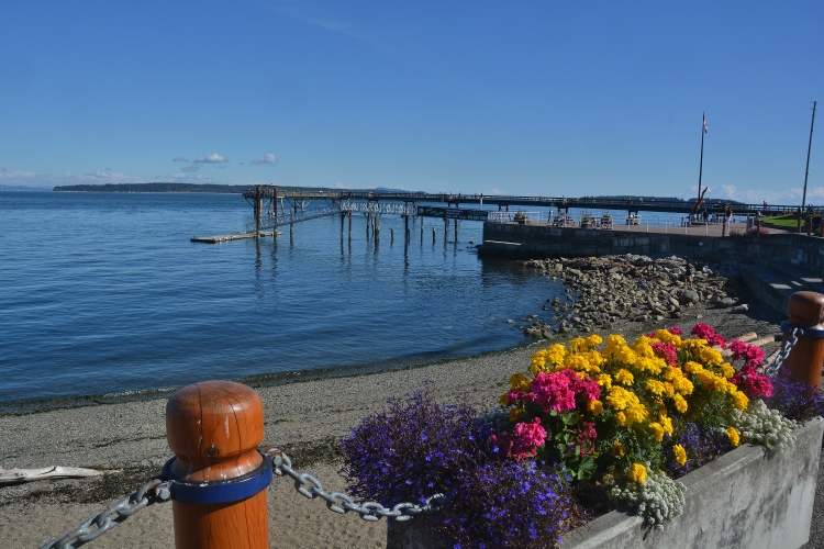 The Sidney harbor